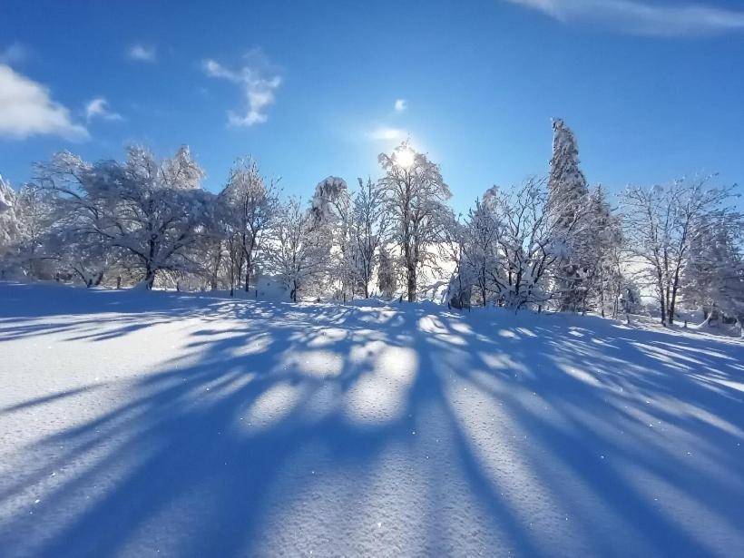Gite De Pailherols Экстерьер фото